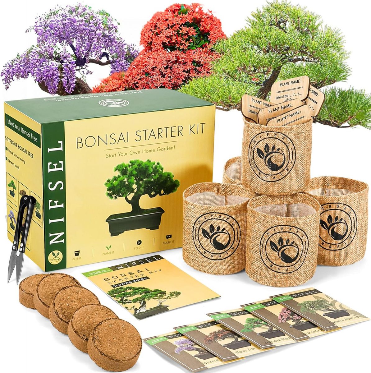 NIFSEL Bonsai Growing Kit.