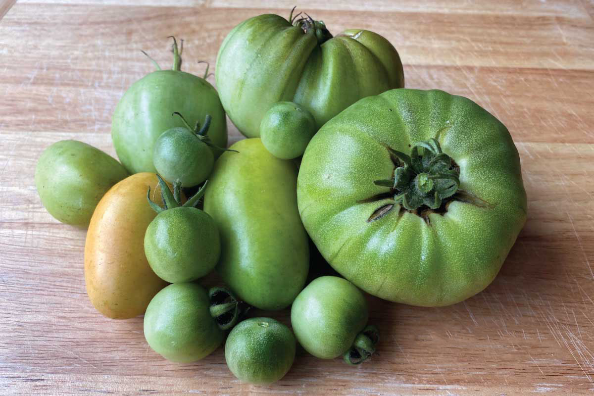 How to Ripen Tomatoes Off the Vine.