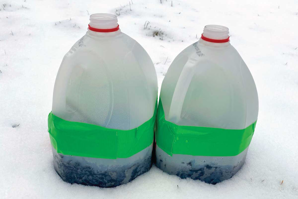 Winter Sowing in Milk Jugs.